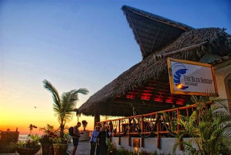 The PV location offers breakfast, lunch and dinner, and sometimes theres live music. . Blue shrimp puerto vallarta